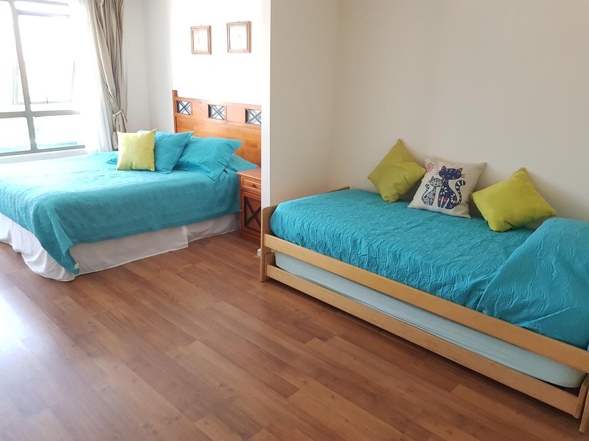 Pedro De Valdivia Apartment Providencia サンティアゴ エクステリア 写真